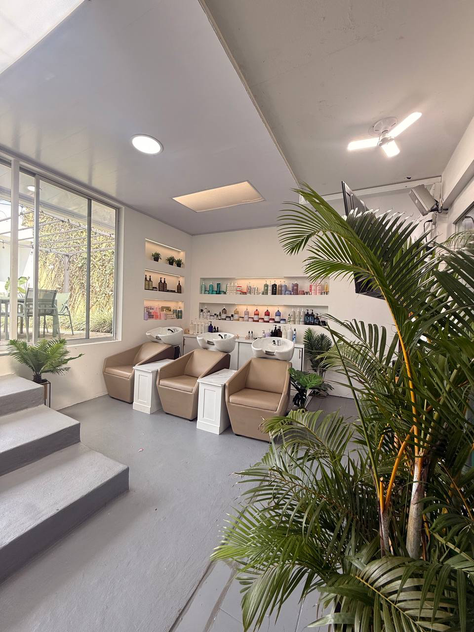 Área de lavado con sillones beige y plantas naturales